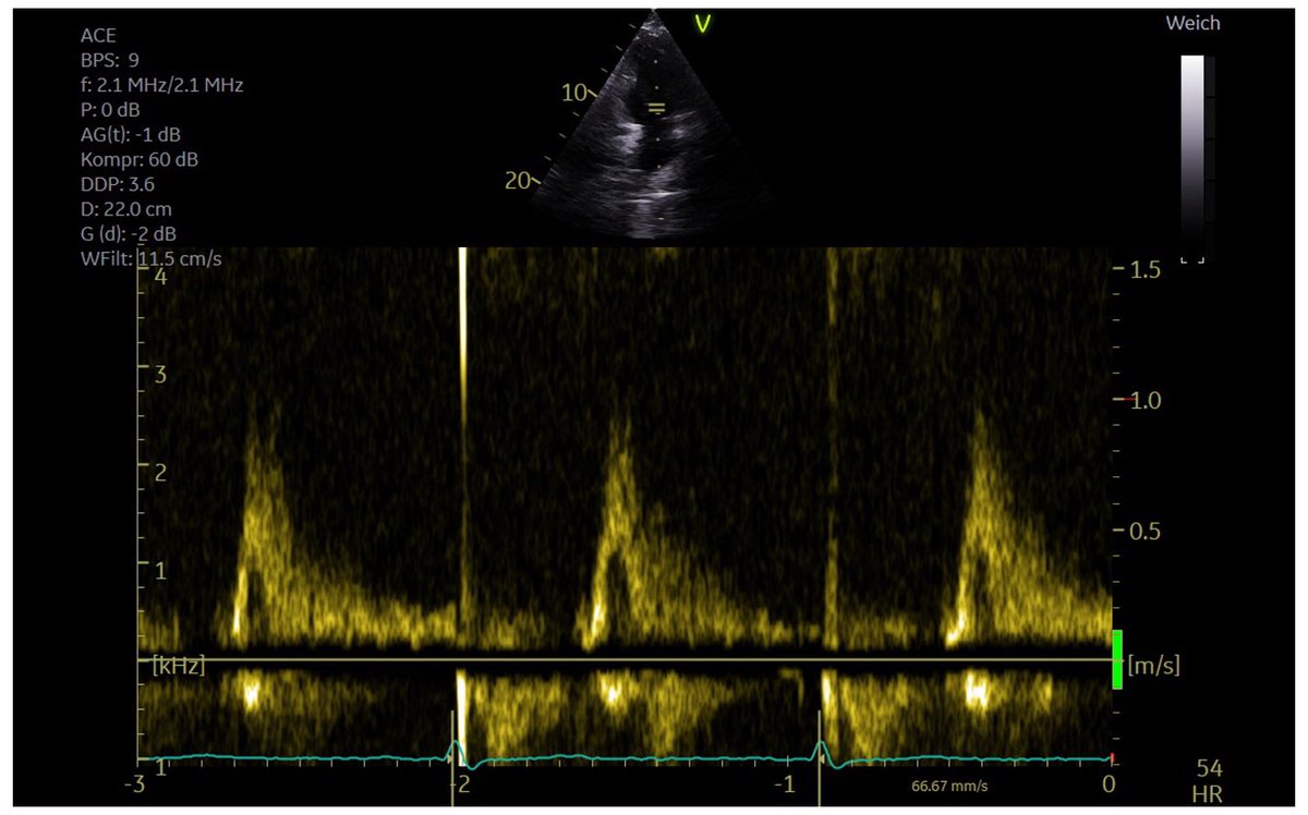 Ekaterina Stellbrink tweet media