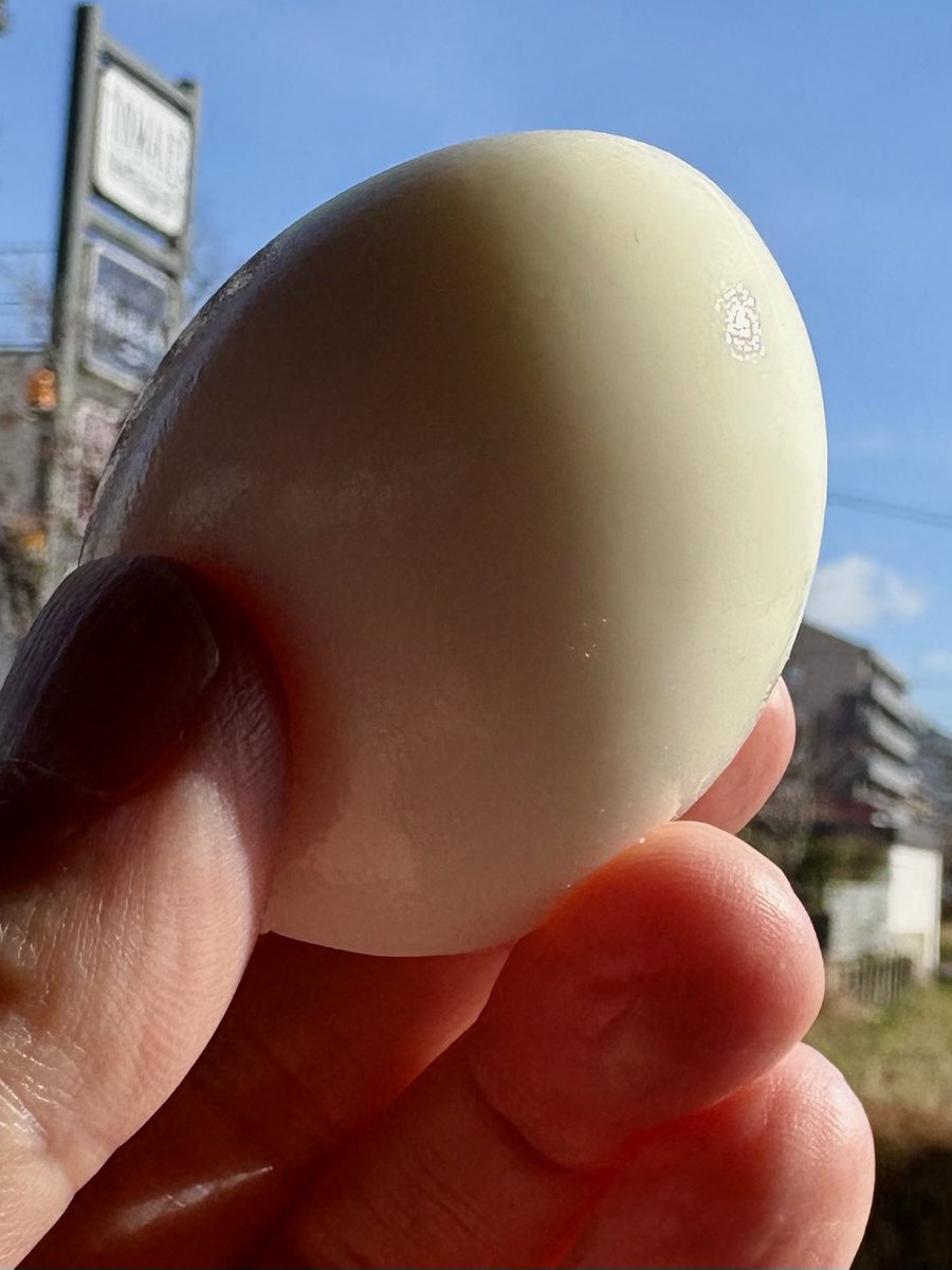 TAMAX161's tweet photo. 久々のX 
これは呟きではなく　叫びました。
恐るべし　岐阜モーニング🤩
ファミマで🤗　ワンコイン🤗
サービスのゆで卵ってこんなに美味いのか😋　
#ファミリーマート
#ファミマでモーニング https://t.co/J0pf39NCTW