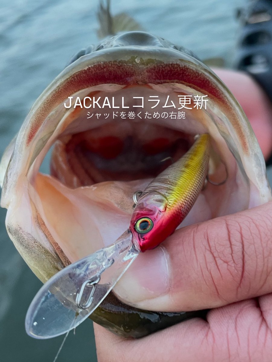 バス釣りJACKALLバイブレーションルアー 10点(17000円相当)[新品] VIBRATION - FRESH WATER バス釣り ｜JACKALL｜ジャッカル｜ルアー
