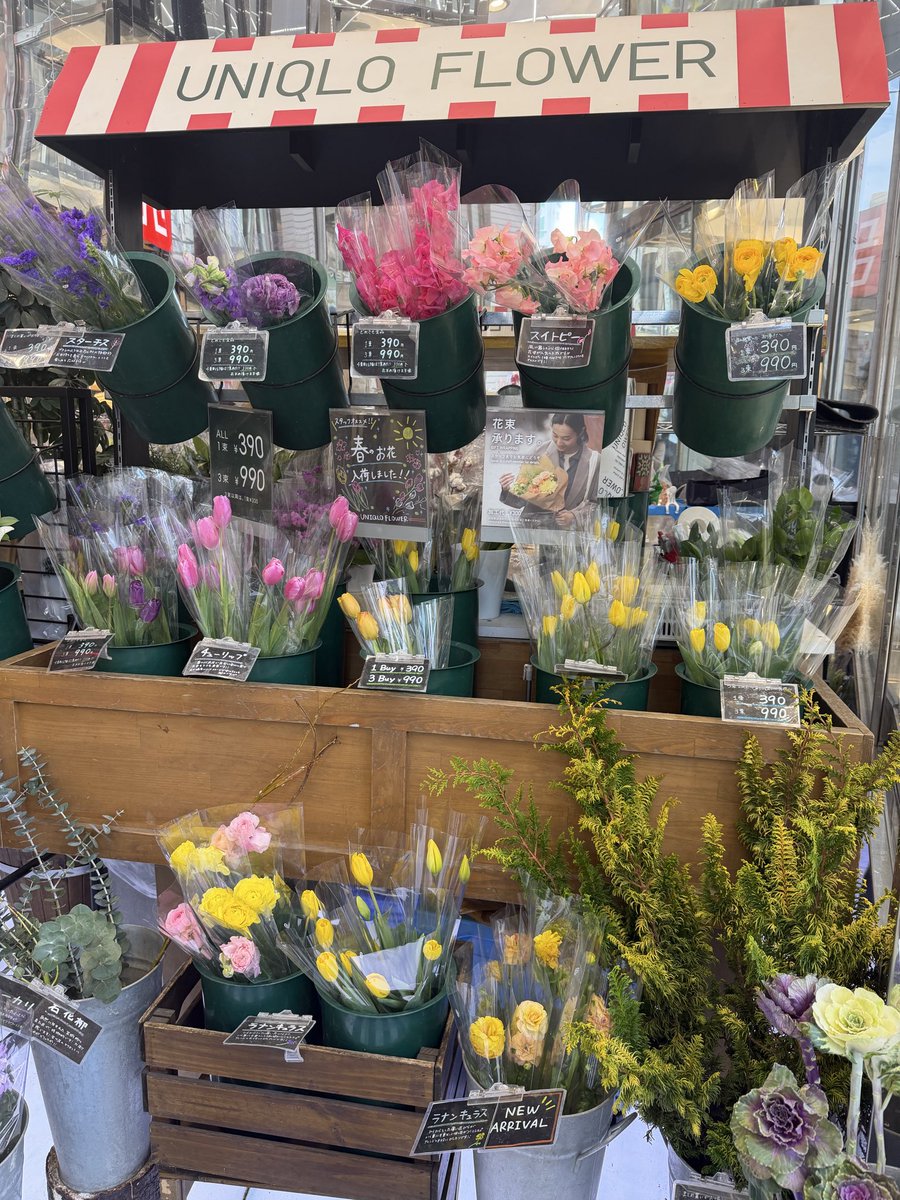 Moomer ☾☁︎ tweet media