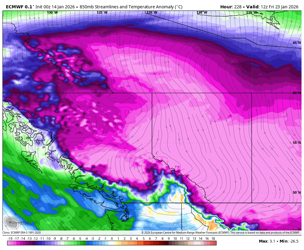 vlad_rad's tweet photo. Positive trends on the euro/eps tonight for arctic air. Still far away as things can change so take this with a grain of salt.
#BCWx #BCCold #PNW #Winter #West #Weather https://t.co/uSc1LESf8f