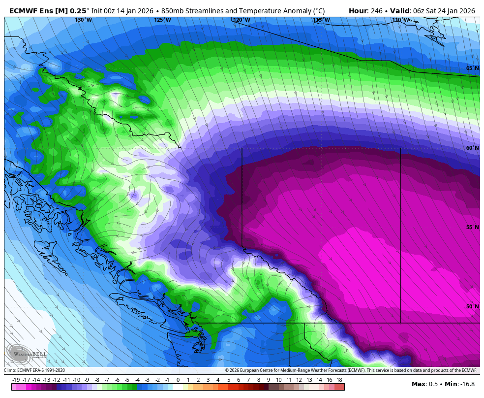 vlad_rad's tweet photo. Positive trends on the euro/eps tonight for arctic air. Still far away as things can change so take this with a grain of salt.
#BCWx #BCCold #PNW #Winter #West #Weather https://t.co/uSc1LESf8f
