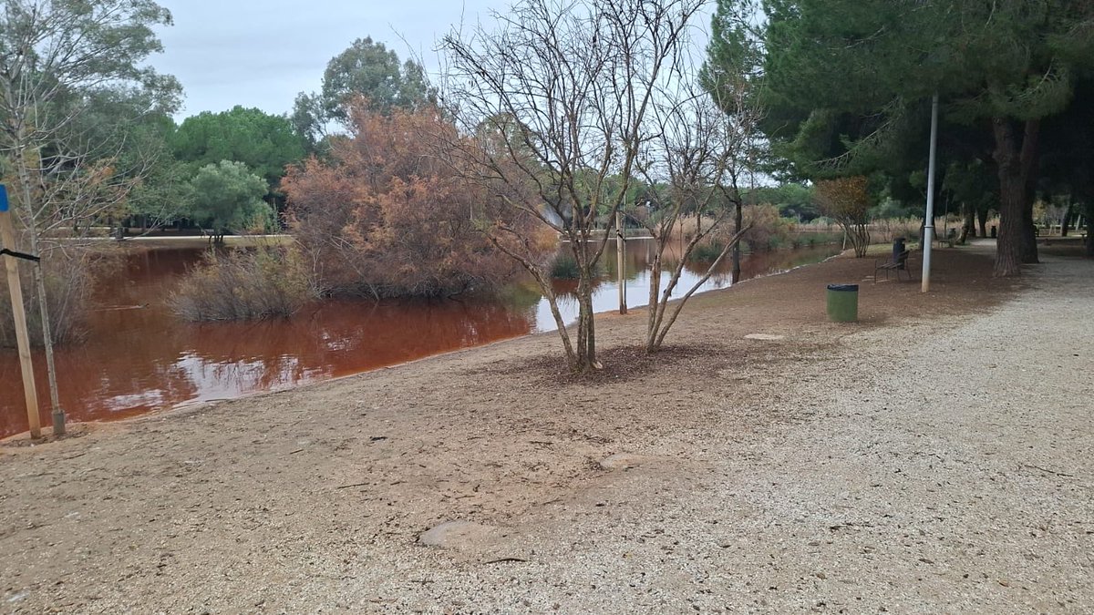 Asociación Vecinos Sevilla Este, Sectores 3+4 tweet media