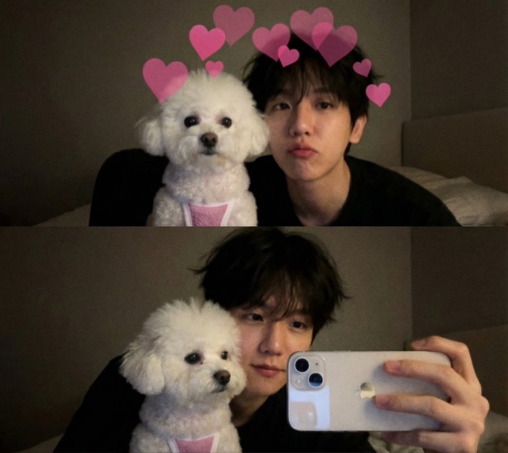 백현님과 저희집 강아지도 유행탑승했습니다✌️🐶