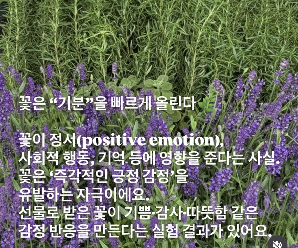 9960002's tweet photo. 꽃이 이렇게 좋다니까 
이제 밤 야식 대신에 꽃 한송이 사세요. https://t.co/7WZUUnUj9G