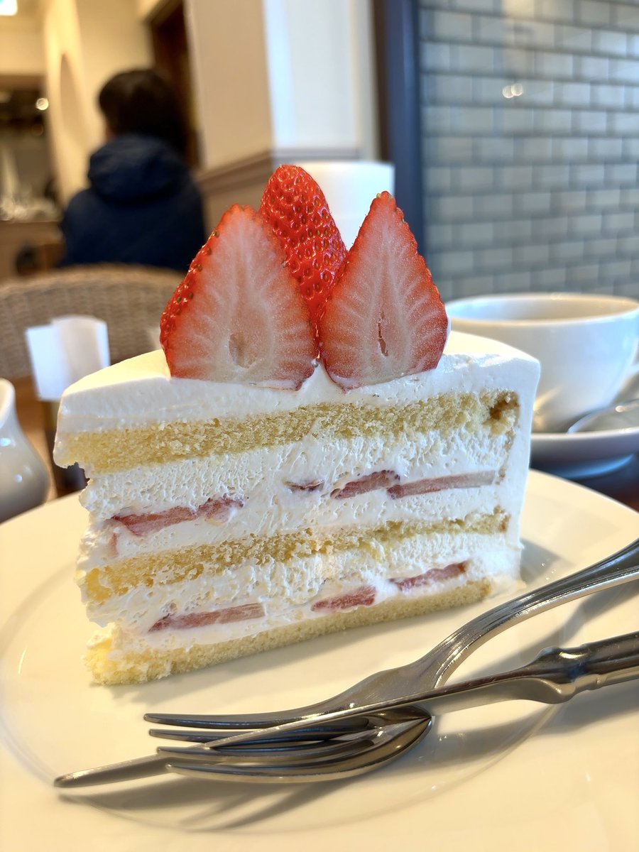 ataru 𓃰 tweet media