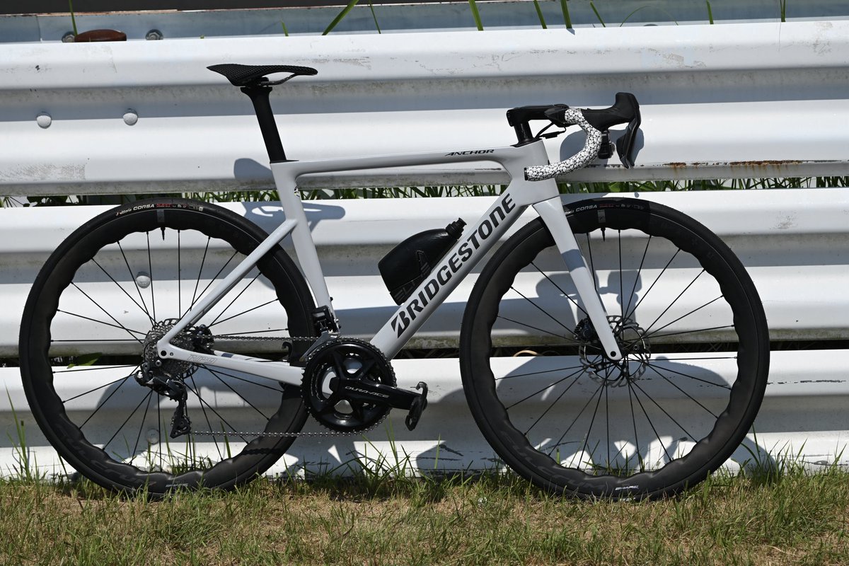 カピバラ (@CapybaraLIZED) / Posts / X