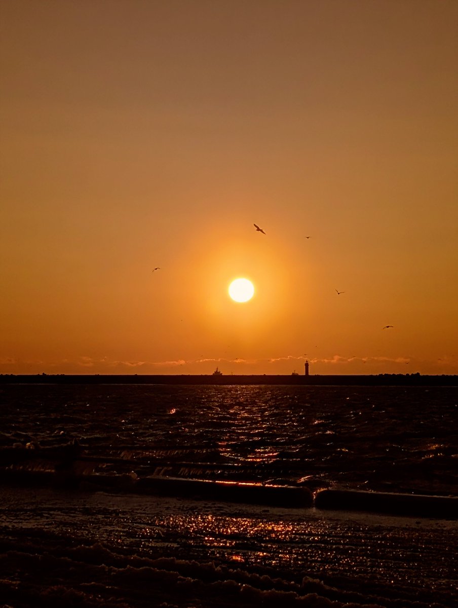 nick_trigger11's tweet image. 今日も、めっちゃ風強いです
𓂅𓂅︎︎︎
 #イマソラ
 #スマホ写真