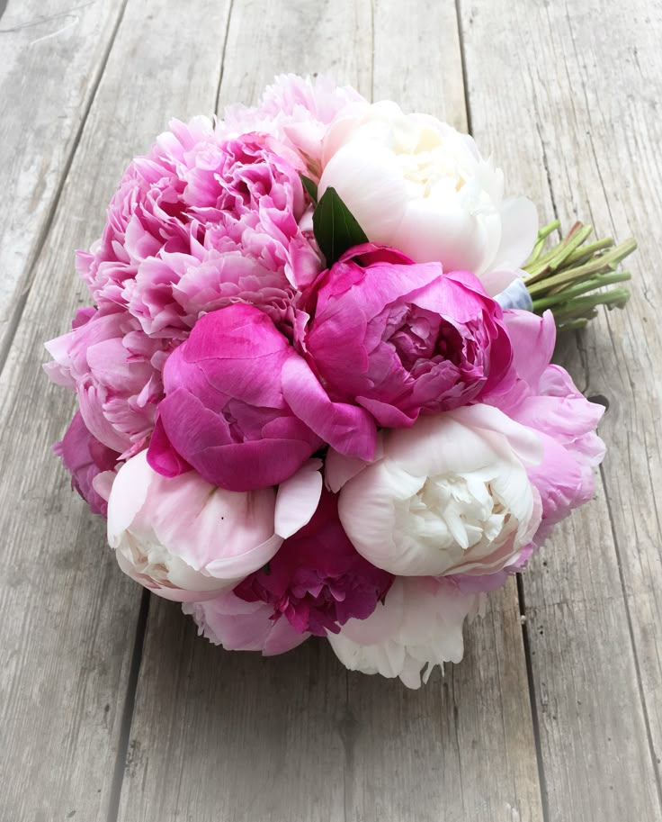 <a href="/amalbrahim4/">amal brahim</a> صباح الخير والورد