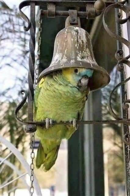 vivaneil1234's tweet image. 