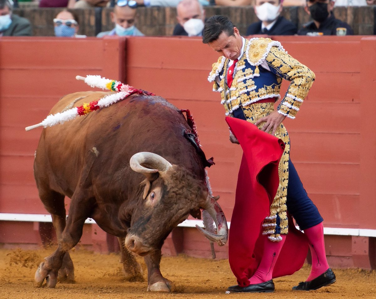 Diego Urdiales volverá a ser el eje de la ya tradicional corrida de San José en Arnedo, una cita que no ha parado de crecer. Con toros de Núñez del Cuvillo, Urdiales, José María Manzanares y Roca Rey forman el cartel que ha armado Ignacio Ríos. ⁦<a href="/ElMundoToros/">El Mundo Toros</a>⁩