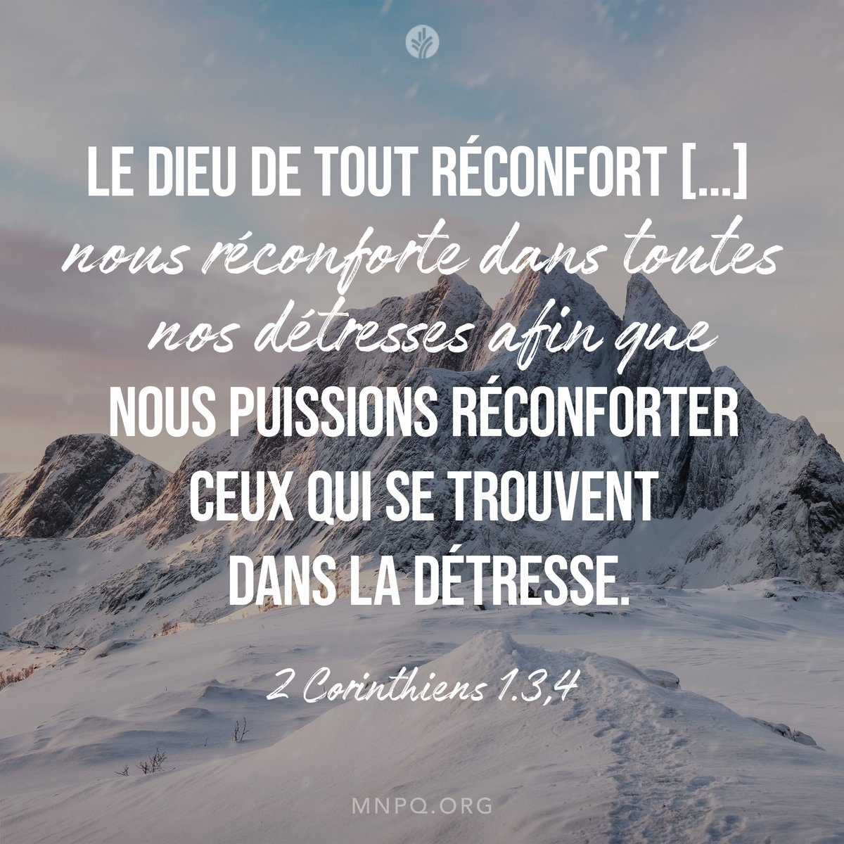 Notre Pain Quotidien tweet media