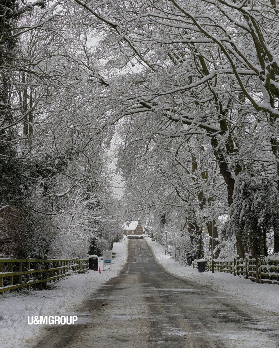 Underpin & Makegood tweet media