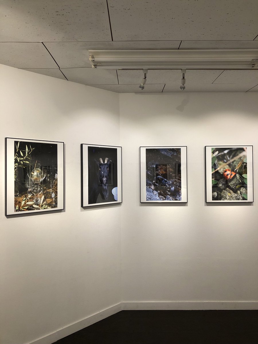 InfoJunktion's tweet image. サードディストリクトギャラリーでは浜田泰介写真展「polkadot」が、1月25日（日）まで会期中無休で開催中です。
好評撮り下ろしシリーズの8回目、併せて展示作品を収録した最新の同題冊子も刊行。
是非ご覧ください。
3rddg.com