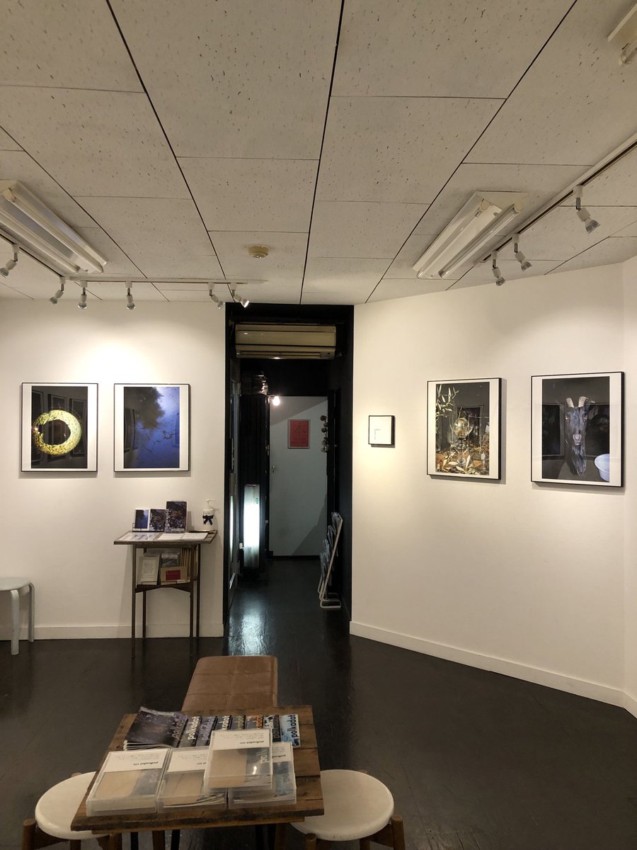 InfoJunktion's tweet image. サードディストリクトギャラリーでは浜田泰介写真展「polkadot」が、1月25日（日）まで会期中無休で開催中です。
好評撮り下ろしシリーズの8回目、併せて展示作品を収録した最新の同題冊子も刊行。
是非ご覧ください。
3rddg.com