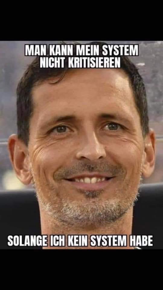 xuueerSGE's tweet image. 