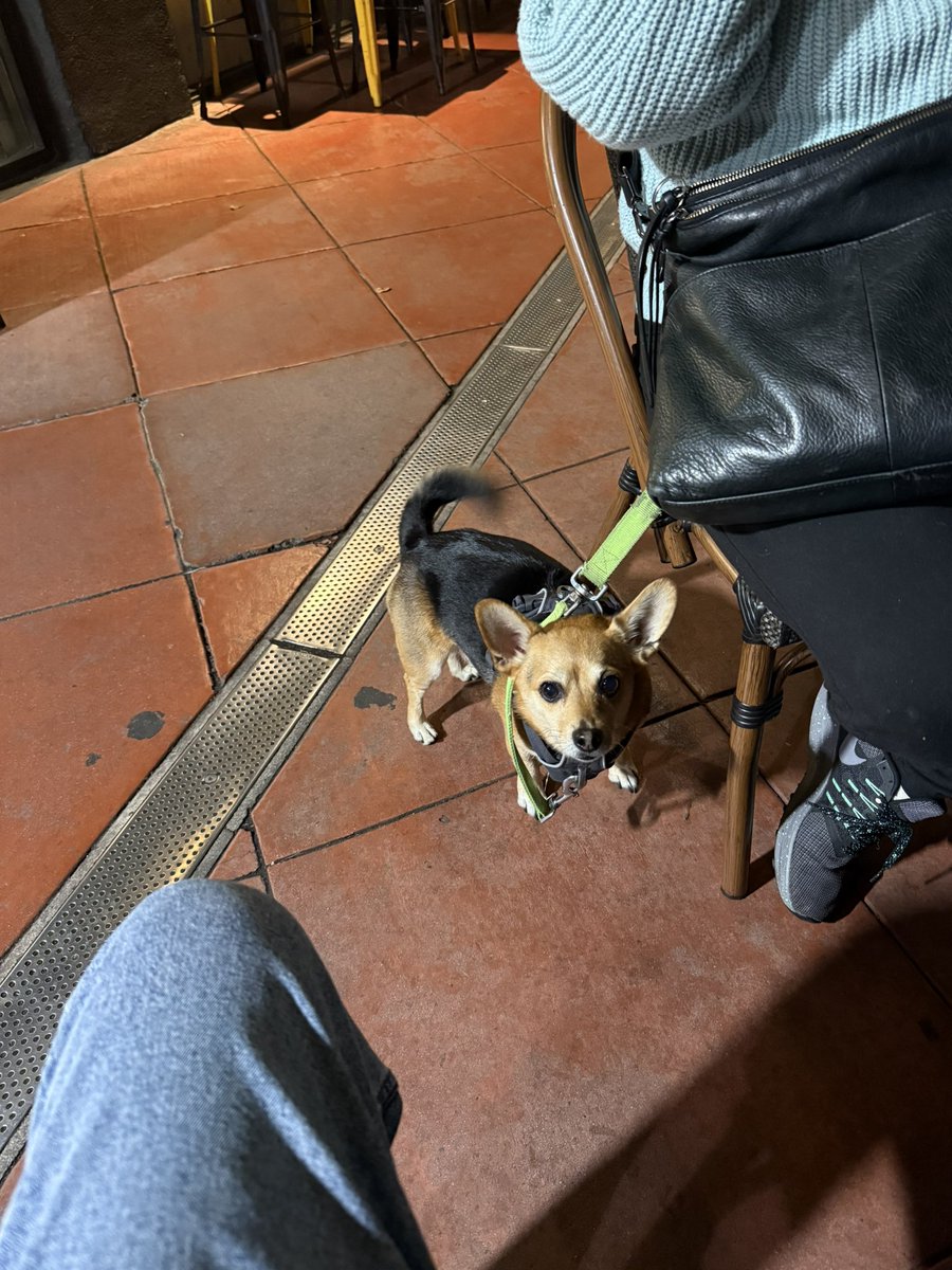 ChorkiSean's tweet photo. Where’s my food ? https://t.co/8e6uuWKLev