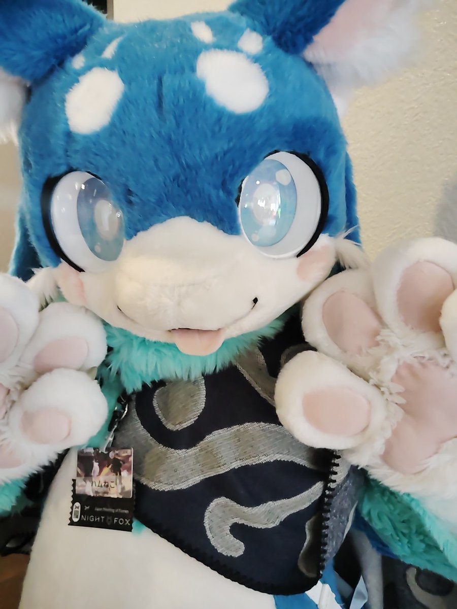 ハムねこ🍣 (@hamuneko1) / Posts / X