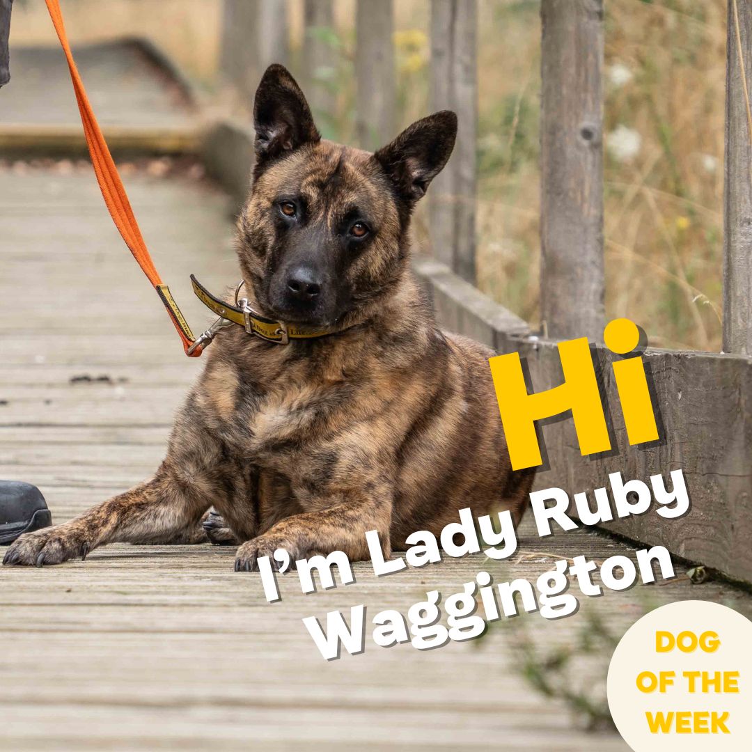 DT Loughborough tweet media