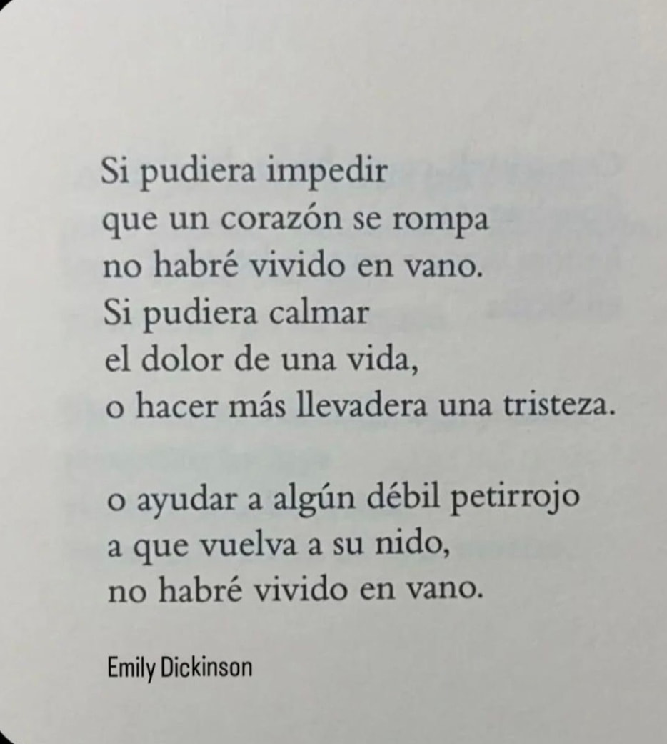 literland (@literlandweb1) on Twitter photo 