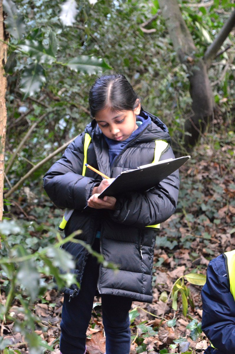 Little explorers in action! 🌳🐾 
 
Our KG5 students used sight, sound, smell, and touch to discover the   wonders of our woodland. 
 
Birds, logs, leaves, and moss were all part of this week's sensory   adventure 🌿💚