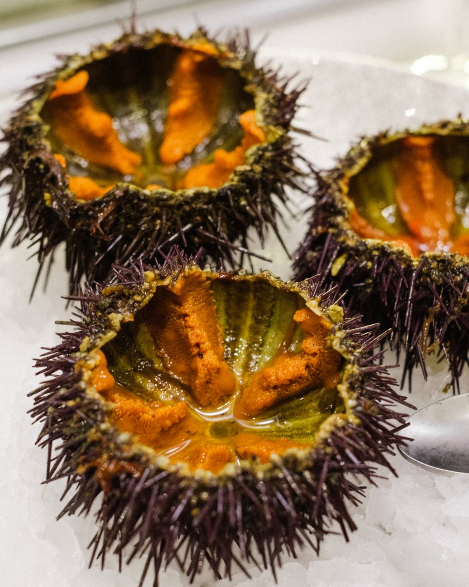 Para comer despacio
Porque esto es mar del bueno