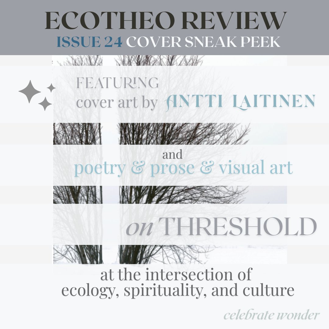 EcoTheo Collective tweet media