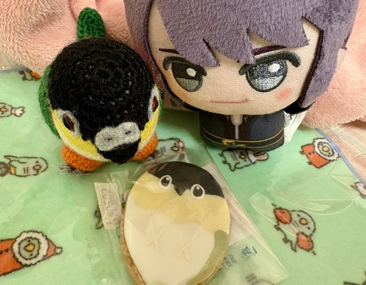 和泉さんからお土産と和泉さんずシール貰った！！全てが可愛い！！
箱の開け方が分からなくて5分くらい格闘した甲斐があった（笑）推しインコと和泉さんのグッズが増えてハッピーがすぎる！！