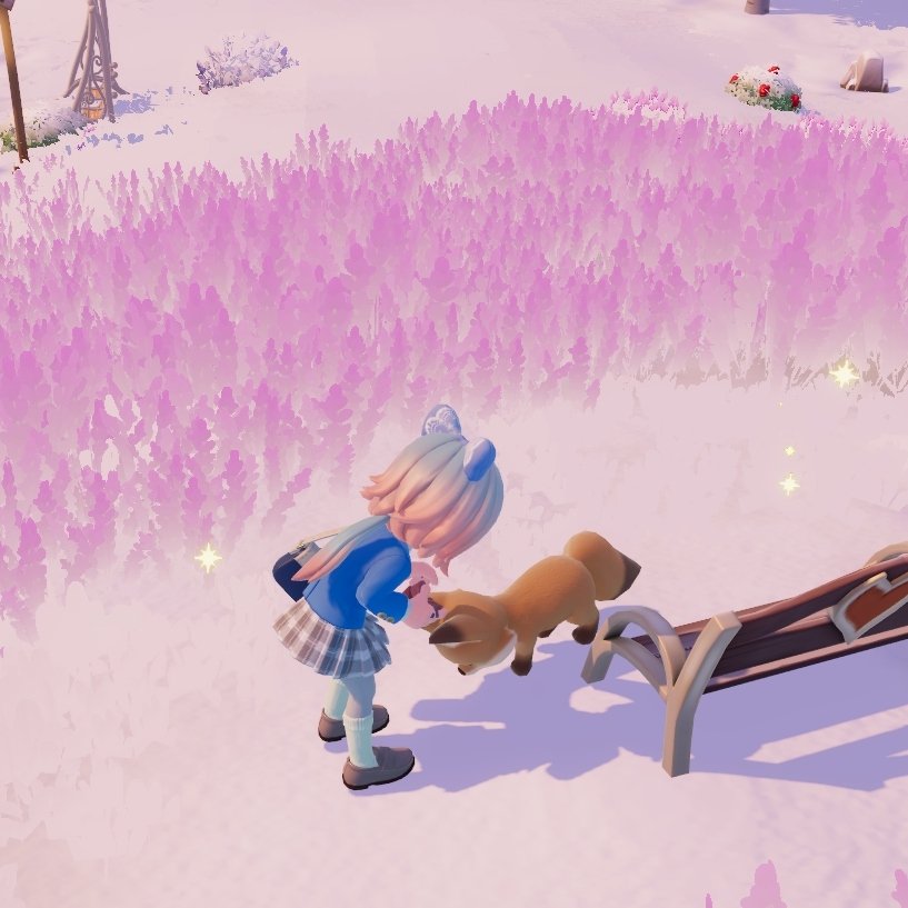 ให้อาหารฟ้อก <a href="/glicojayx/">fox frost</a>