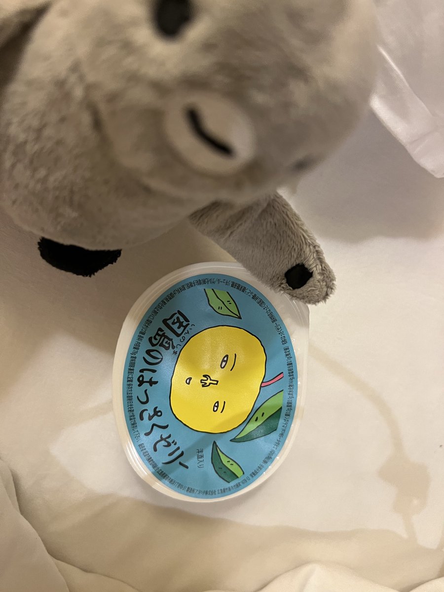 これがおすすめ！！