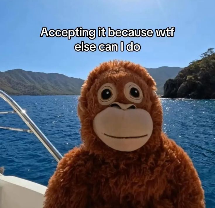 MichiMochievee's tweet image. i am back home and have secretly clicked go live

twitch.tv/michimochievee