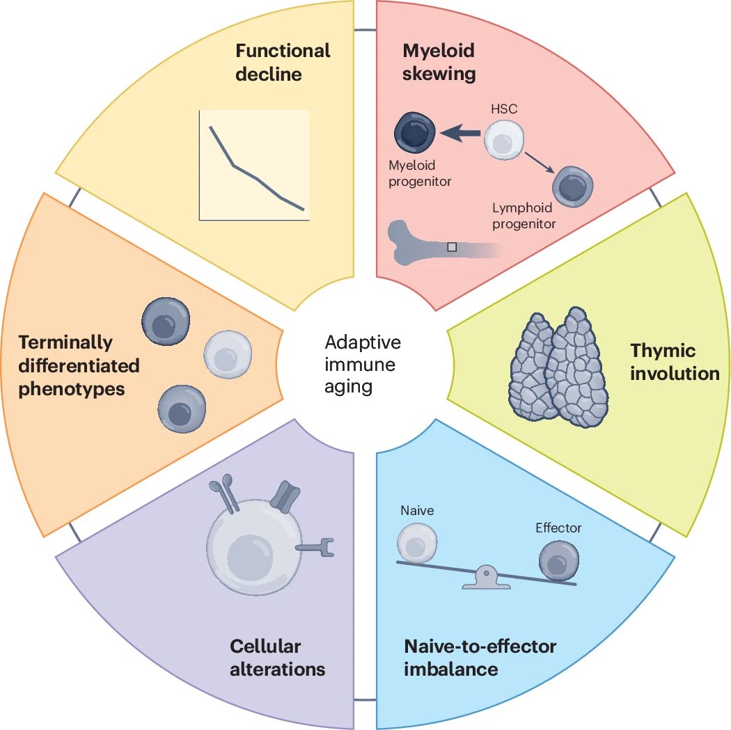 Agingdoc🩺Dr David Barzilai🔔MD PhD MS MBA DipABLM tweet media