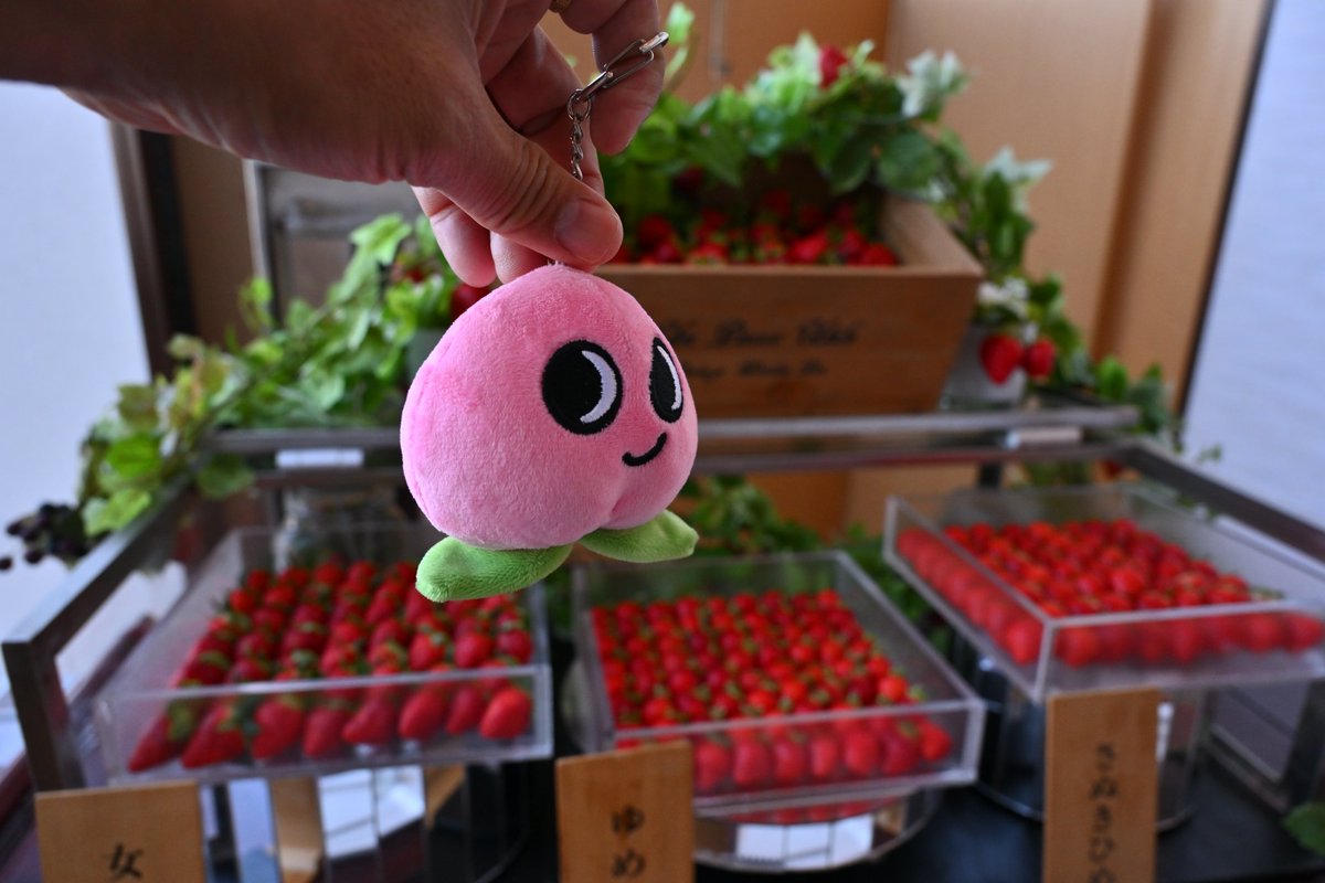 鉄男 (@gobou1979) / Posts / X