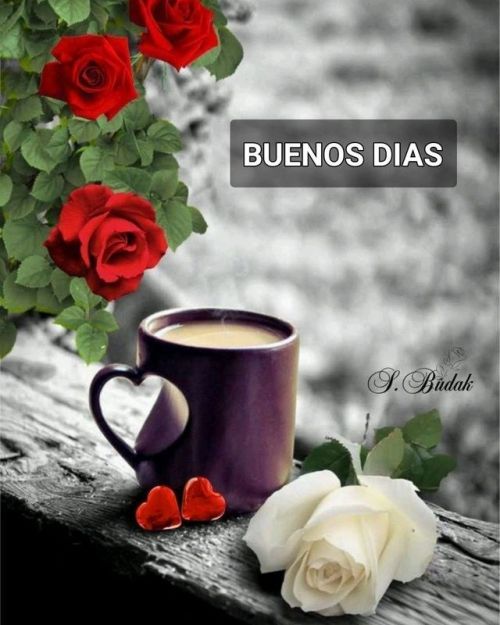 <a href="/Lara_Ceci/">Ceci</a> 
Buenos días Ceci ☕️🌷🤗
Feliz ombliguito de semana 👍