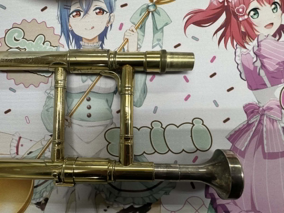 Willie's Custom Brass トロンボーンマウスピース Willie's トロンボーンマウスピース aquarius（太管） Amazon