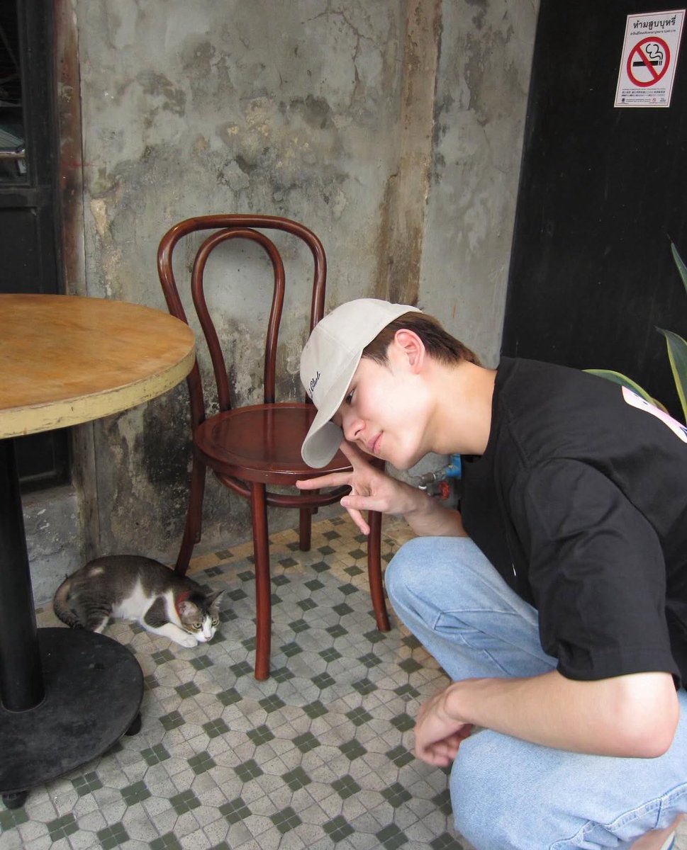 aimsatai's tweet image. เมี๊ยว ~