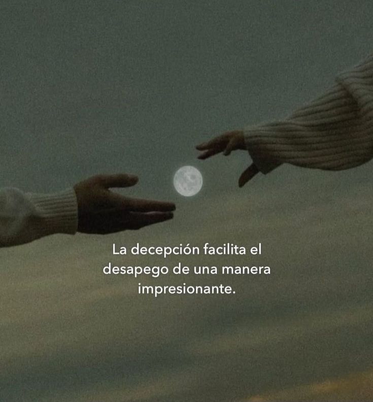 Escrito_Ideal's tweet image. 