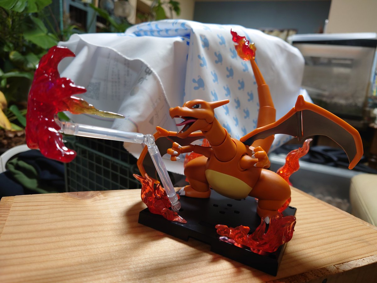 ブロッキーズのリザードン届いた〜！！！ は…？なんでこんな出来のよい