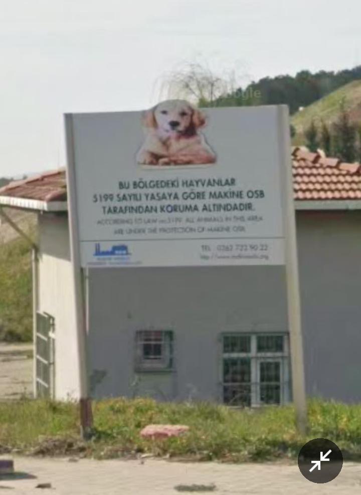 Kocaeli Dilovası Makina OSB apaçık devlete meydan okuyor ve kanunları hiçe sayıyor. Bunu yaparken de yayınladığı dev panolarla ilan etmekten kaçınmıyor. <a href="/GuvenliSehirler/">Güvenli Şehirler</a> <a href="/KopekTehlikesi/">Başıboş Köpek Tehlikesi</a> <a href="/KopekSorunu/">Başıboş Köpek Sorunu - Stray Dog Problem</a> @Gumus_31 <a href="/TC_icisleri/">T.C. İçişleri Bakanlığı</a> <a href="/kocaelivaliligi/">TC Kocaeli Valiliği</a> <a href="/ticaret/">T.C. Ticaret Bakanlığı</a>