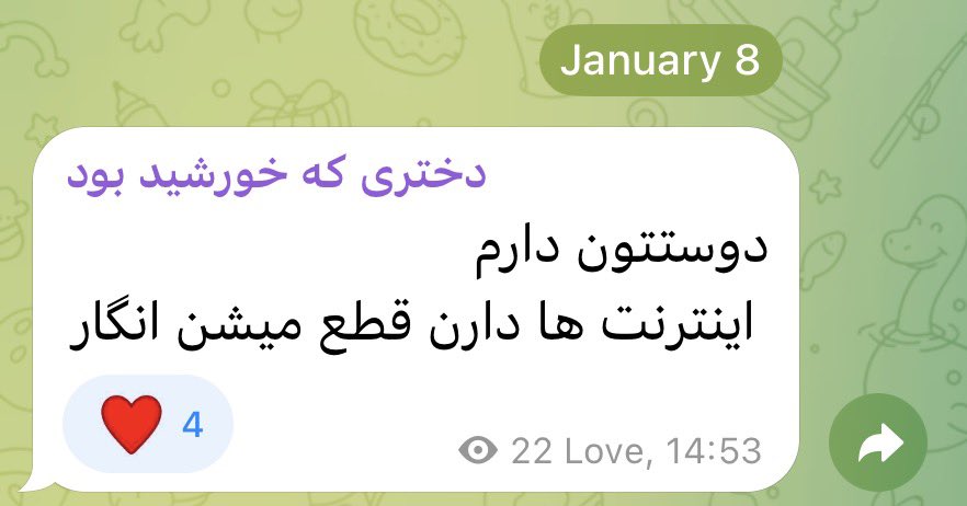 longlosthills's tweet image. Setayesh Shafiei, 20, was shot dead with direct fire by Islamic Republic suppression forces during the nationwide protests in Tehran on Thursday, January 9, 2025. She had endured a very hard life. She was among the orphaned children, which made the identification of her body…