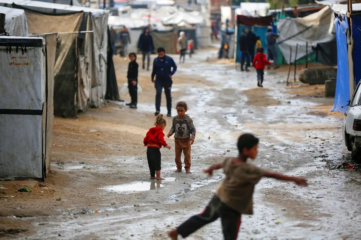 Blogdopavulo's tweet image. Gaza: mais de 100 crianças morreram após cessar-fogo, denuncia Unicef  🌐🚨 

“Um cessar-fogo que continua enterrando crianças não basta”, alertou o porta-voz da agência da ONU.

blogdopavulo.com/gaza-mais-de-1…