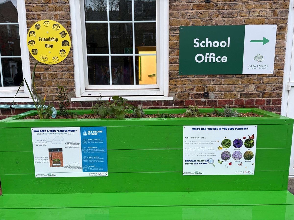 Meristem Design tweet media