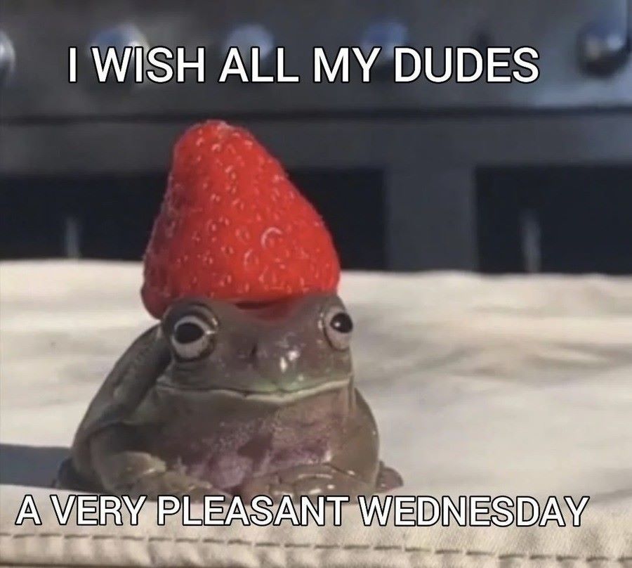 GM. It is Wednesday my dudes.