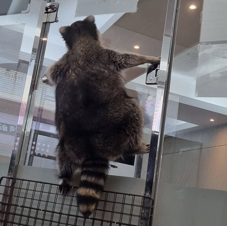 가든 유리창에 붙어잇는 선우 뒷모습 공유합니다