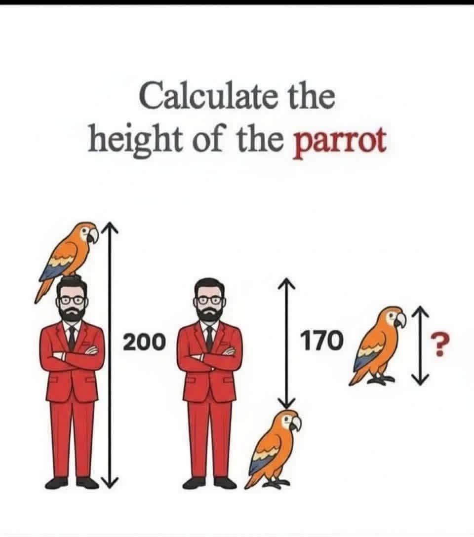 IQTestBrain's tweet image. Answer now