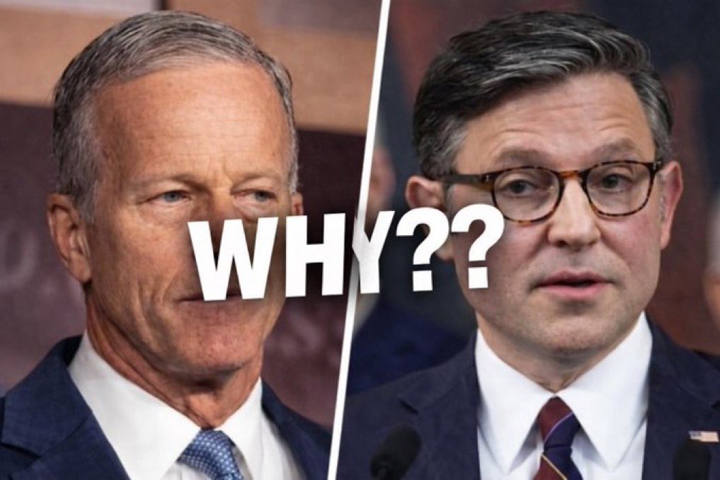 FFT1776's tweet image. When Democrats win, their agendas become law. IMMEDIATELY!

When Republicans win, we scrape and fight just to pass a crumb. A CRUMB!

Why is that @SpeakerJohnson and @LeaderJohnThune ?

Is it corruption in our own party preventing the Republic from functioning as it was intended?