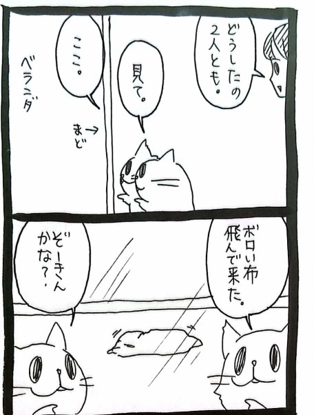 クロ🐾𓏲𓎨 (@zx400g) / Posts / X