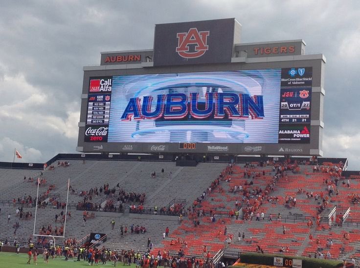 HighProfessorAubie tweet media