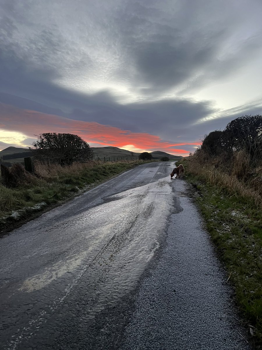 Dave Green tweet media