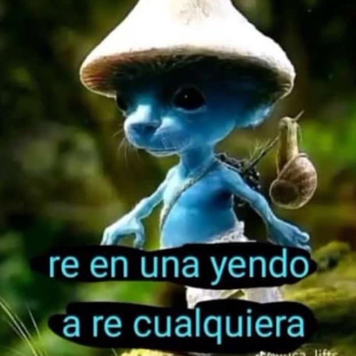 nico (@nico_rdguez) on Twitter photo 
